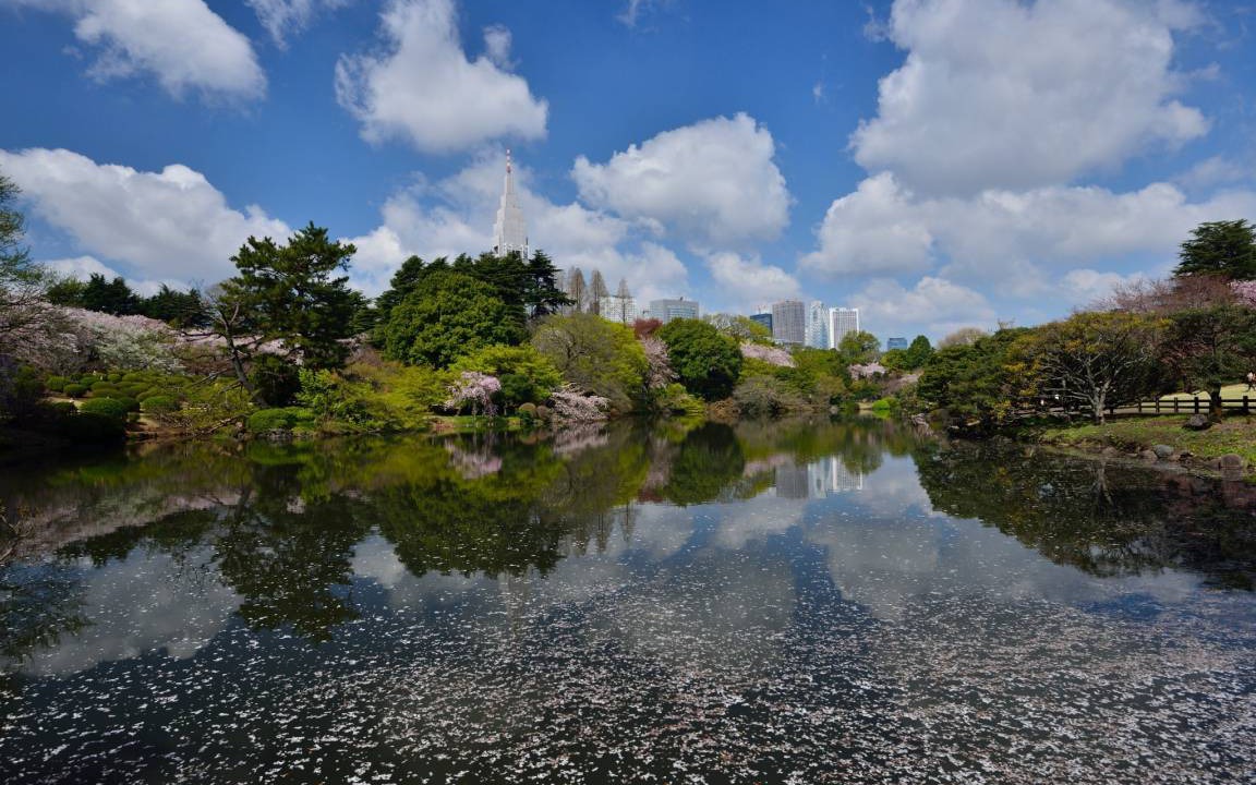 Photo of Others in Shinjuku