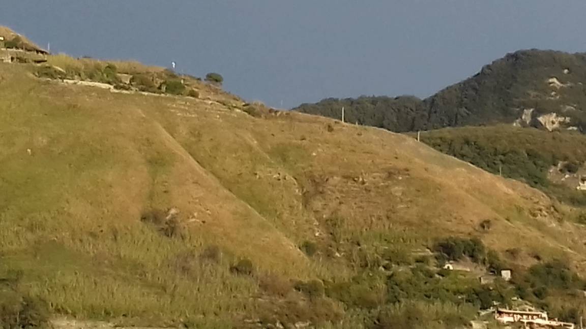 Photo of Others in Forio