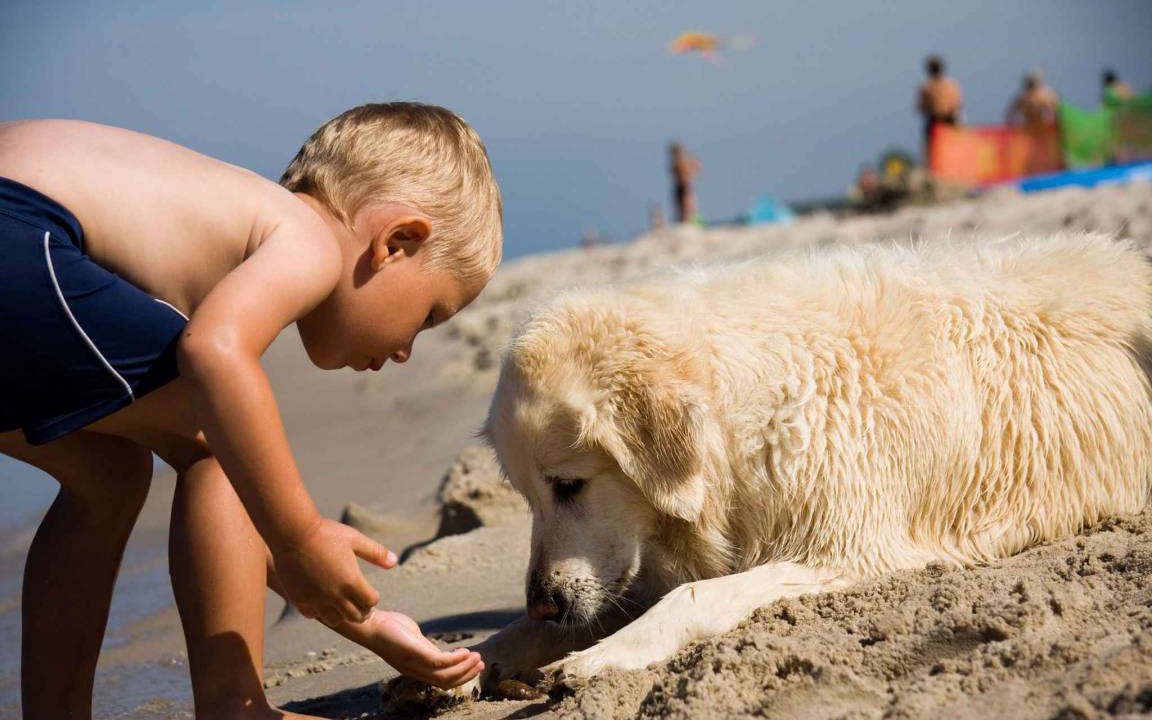 Photo of Others in Bibione Lido del Sole