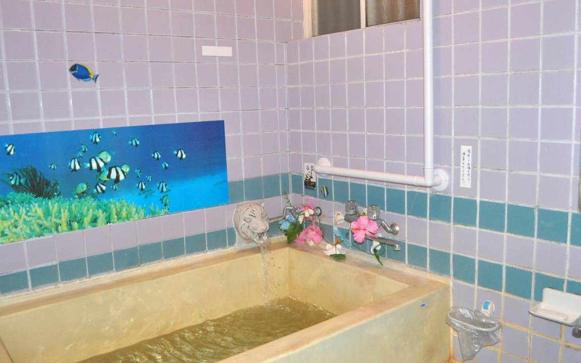 Photo of Bathroom in Higashiizu