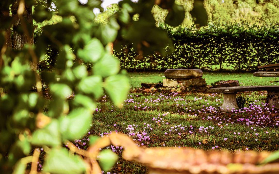 Photo of Others in Vallon-sur-Gee