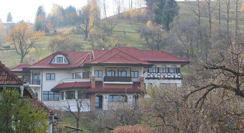 Photo of Buildings in Bran