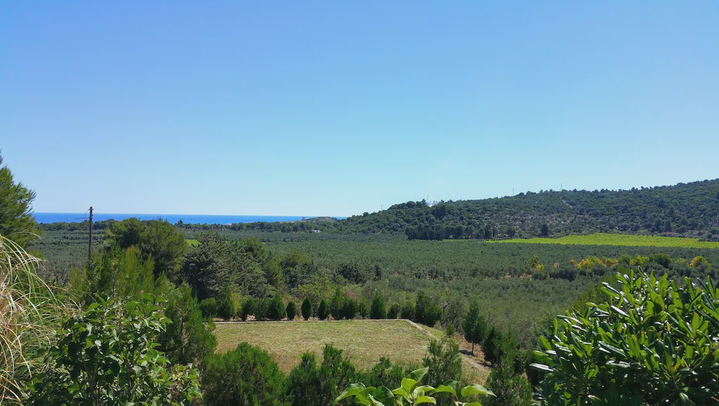 Photo of Outdoor in Montincello