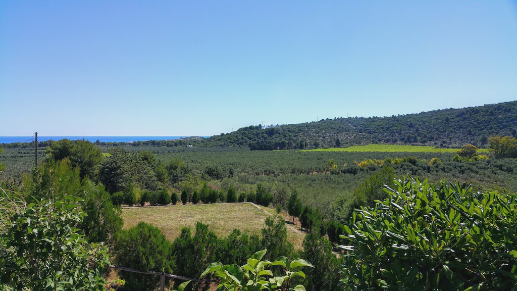 Photo of Outdoor in Montincello