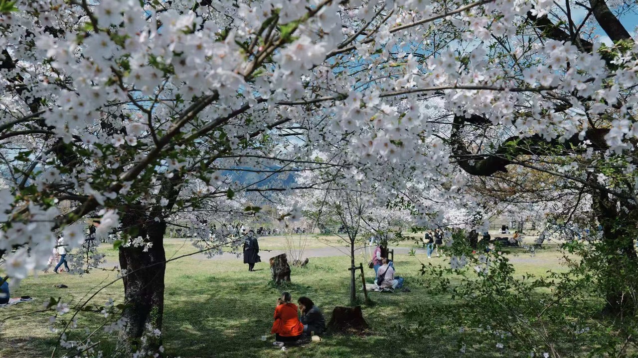 Photo of Outdoor in Arashiyama
