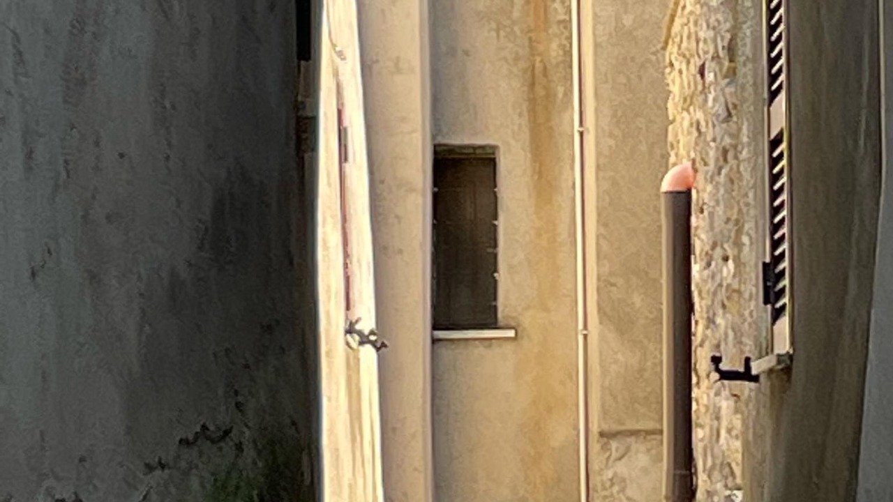 Photo of Outdoor in Rocca di Cave