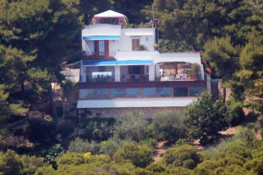 Photo of Others in Tremiti Islands
