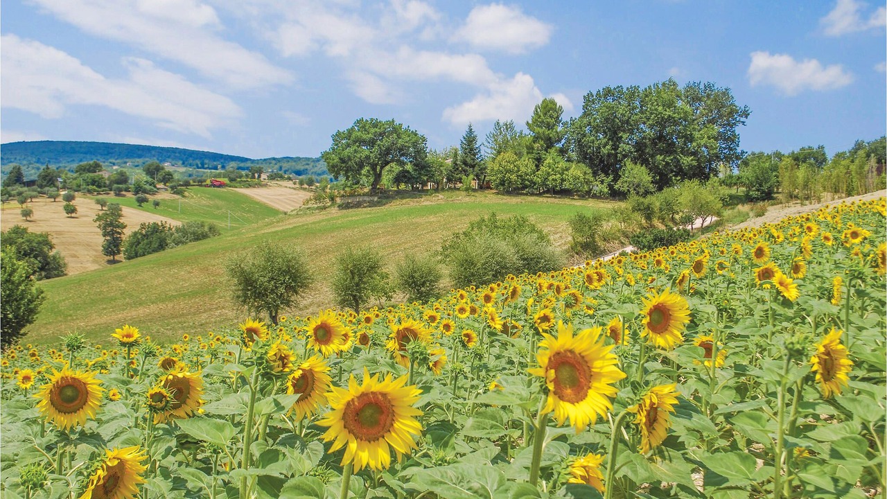Photo of Outdoor in Montenero di Bisaccia