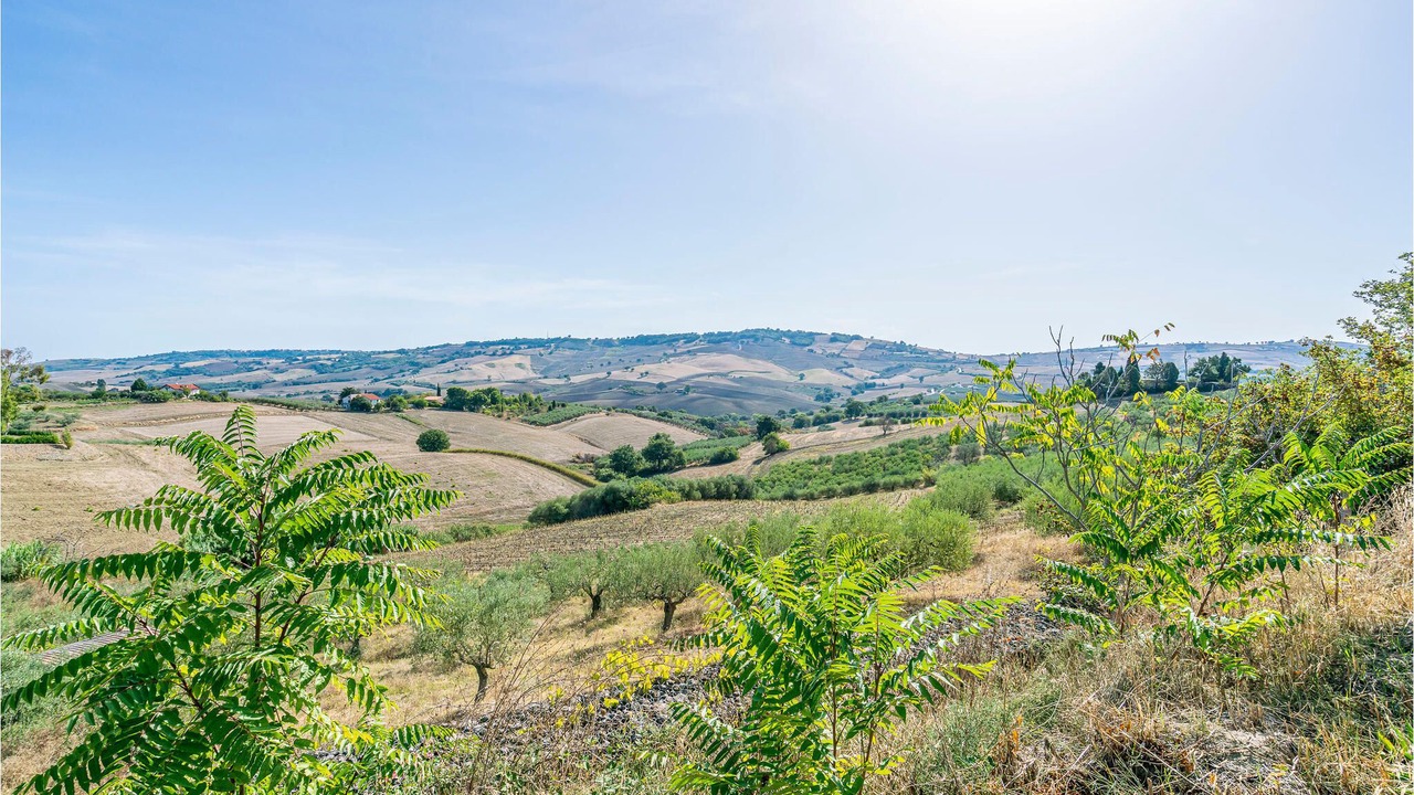 Photo of Others in Montenero di Bisaccia