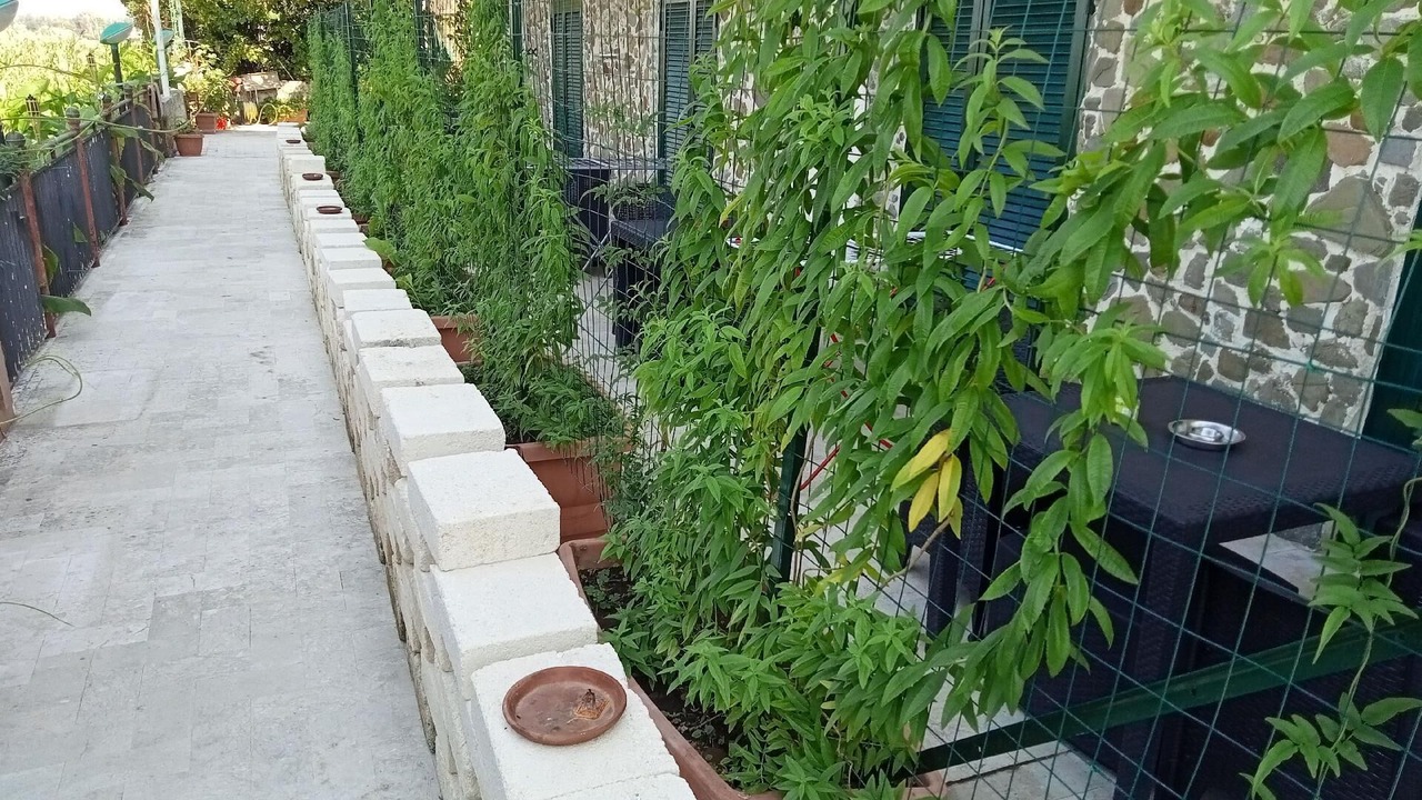 Photo of Outdoor in Laura