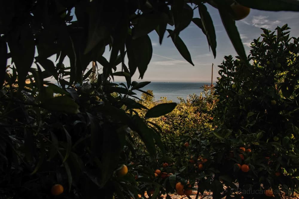 Photo of Others in Ortona