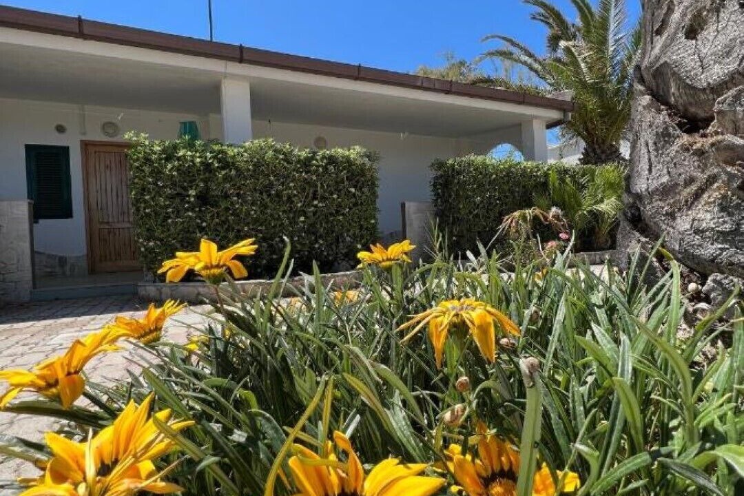 Photo of Outdoor in Montincello