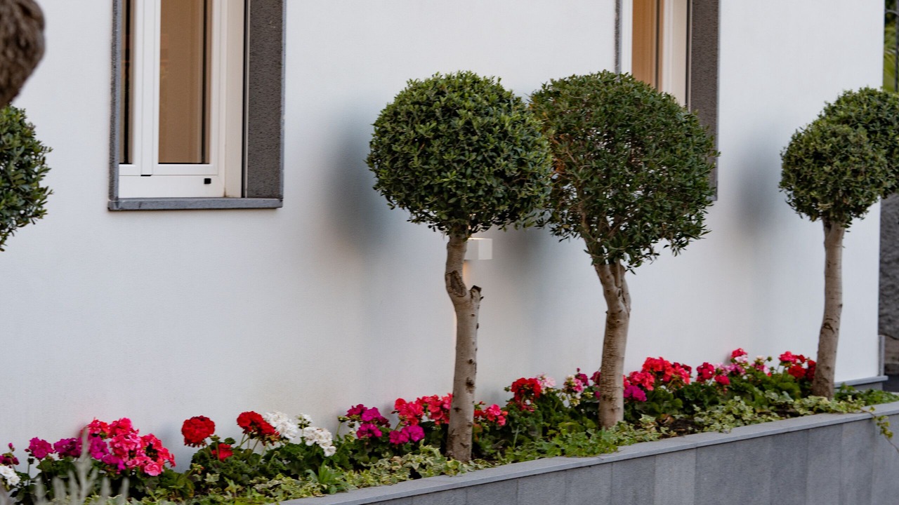 Photo of Outdoor in Boscotrecase