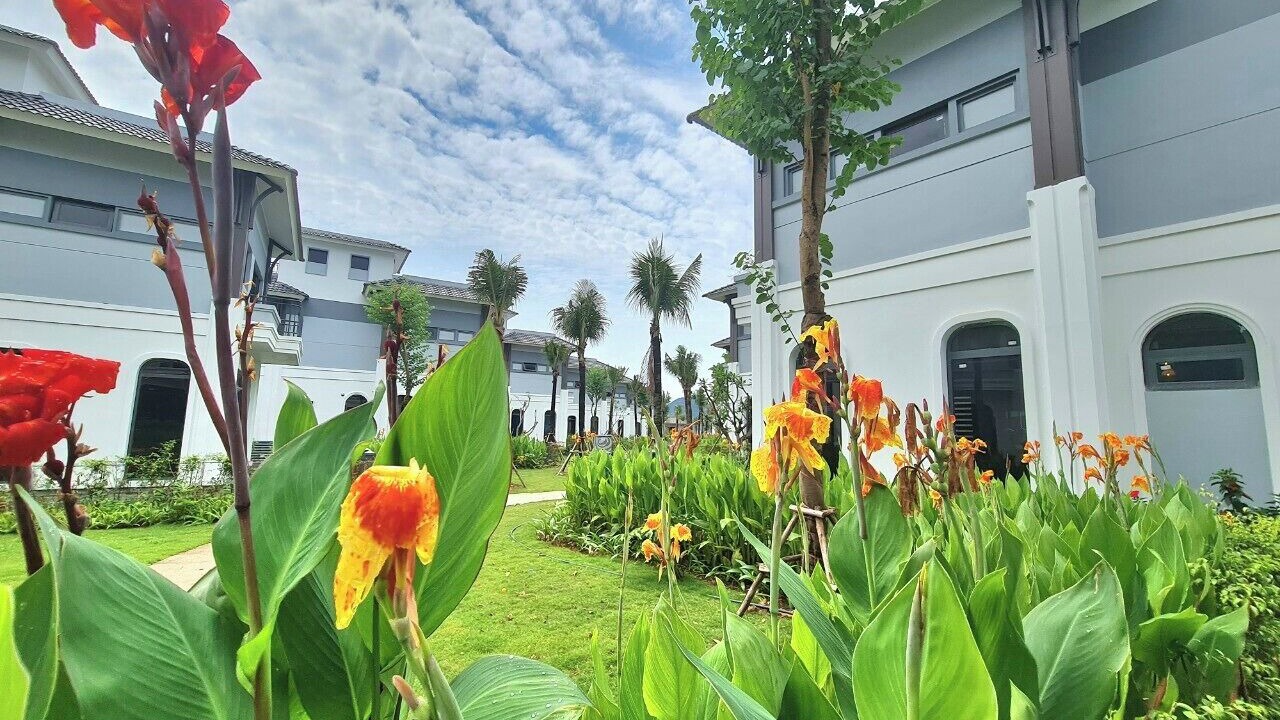 Photo of Outdoor in Van Don
