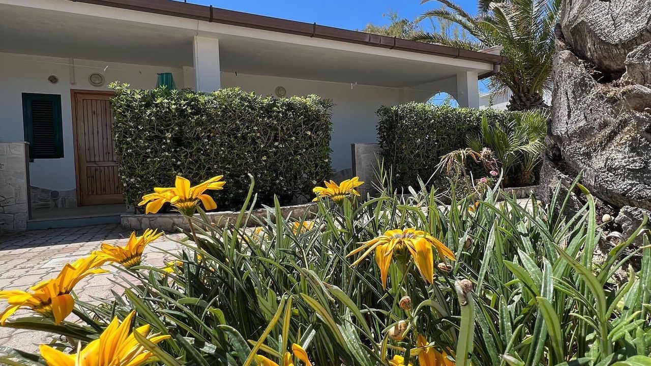 Photo of Outdoor in Montincello