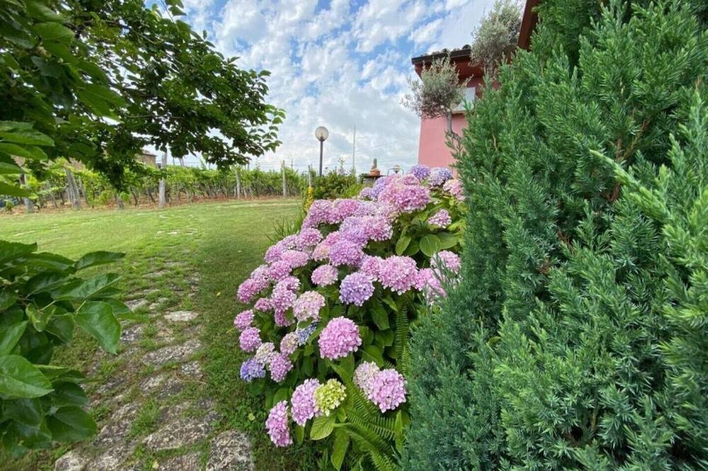 Photo of Outdoor in Maiera