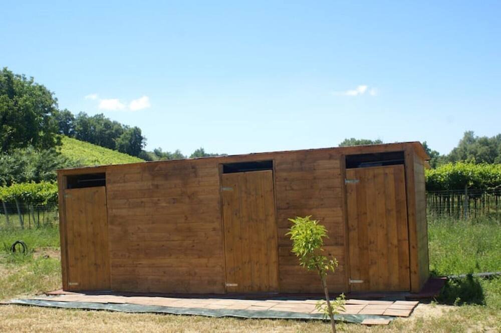 Photo of Outdoor in Torino di Sangro