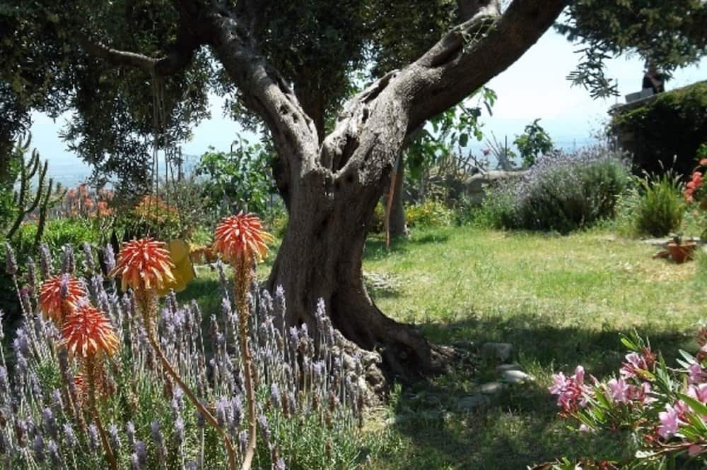 Photo of Outdoor in Villapiana