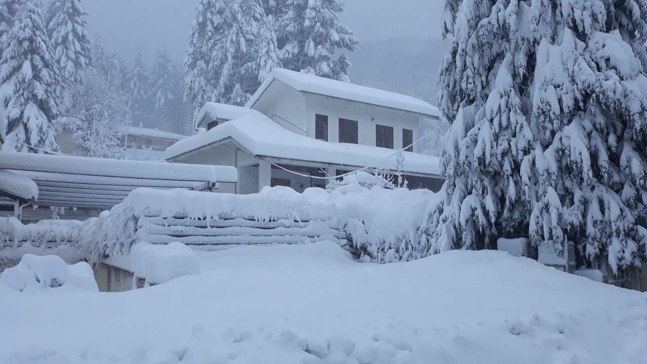 Photo of Outdoor in Laceno