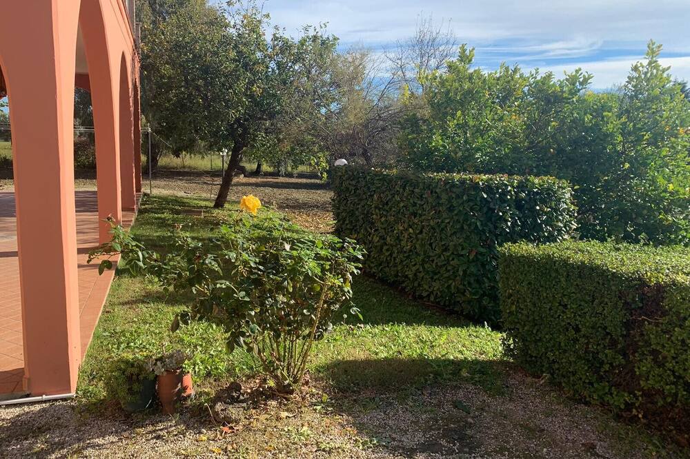 Photo of Outdoor in Giulianova