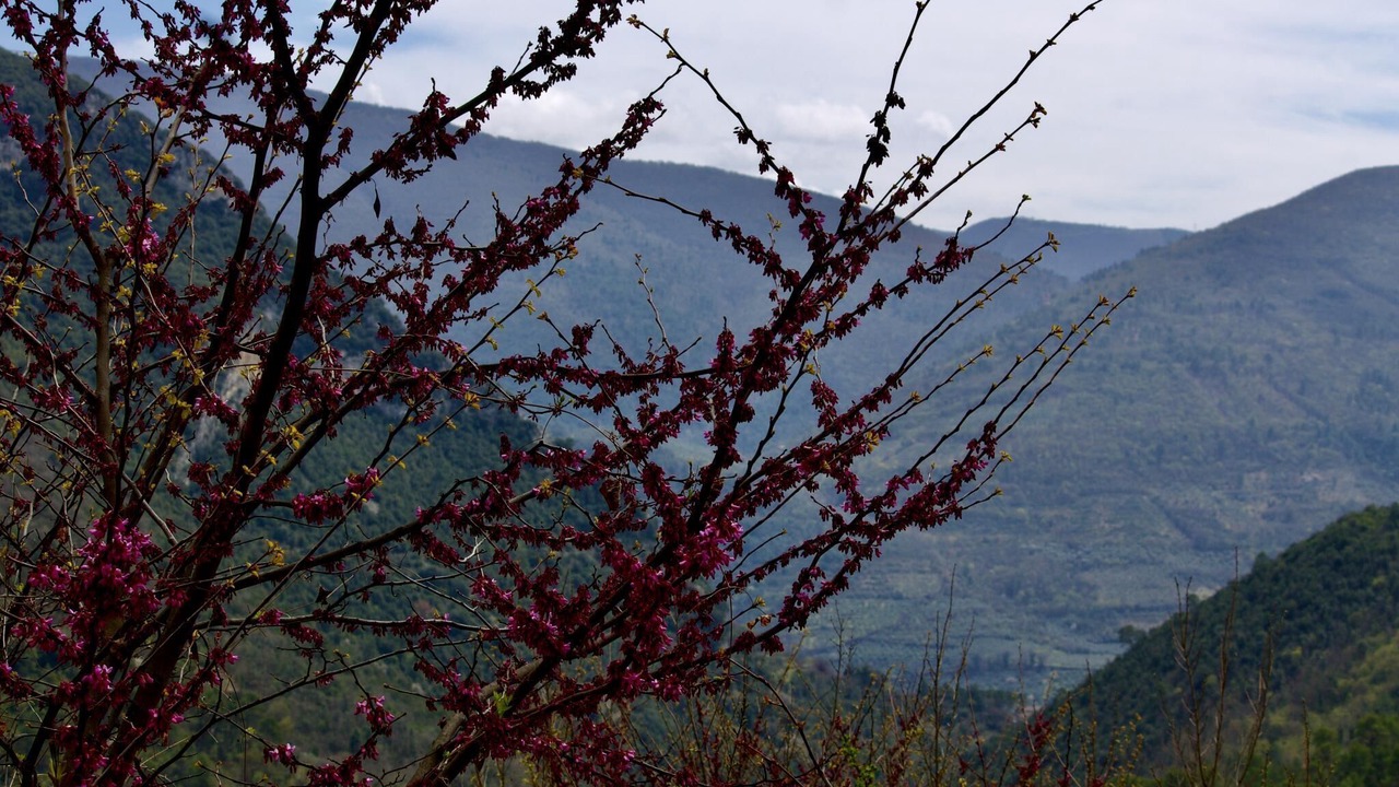Photo of Outdoor in Precetto