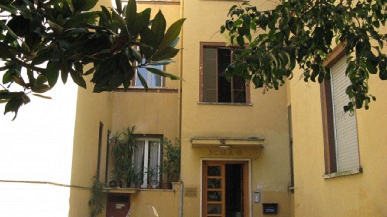 Photo of Outdoor in Latina
