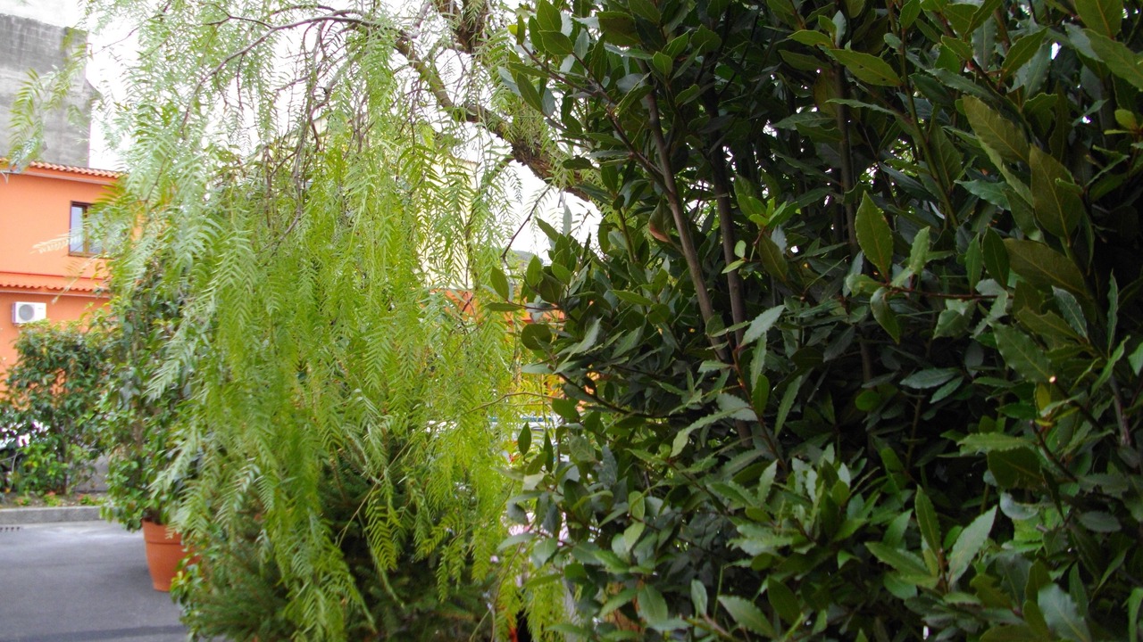 Photo of Outdoor in Zona Ospedaliera