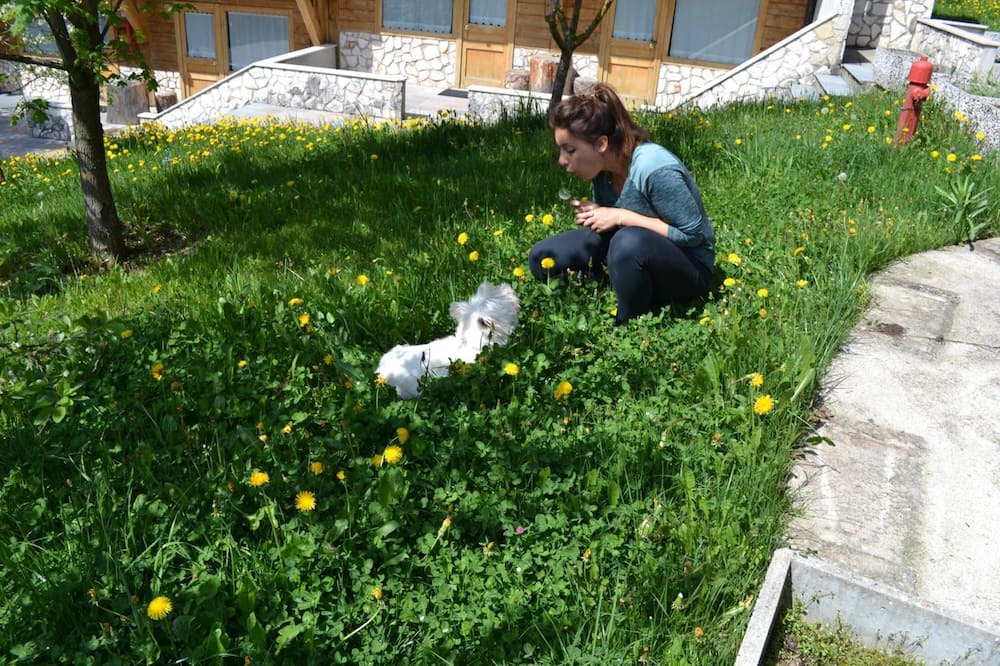 Photo of Outdoor in Asiago