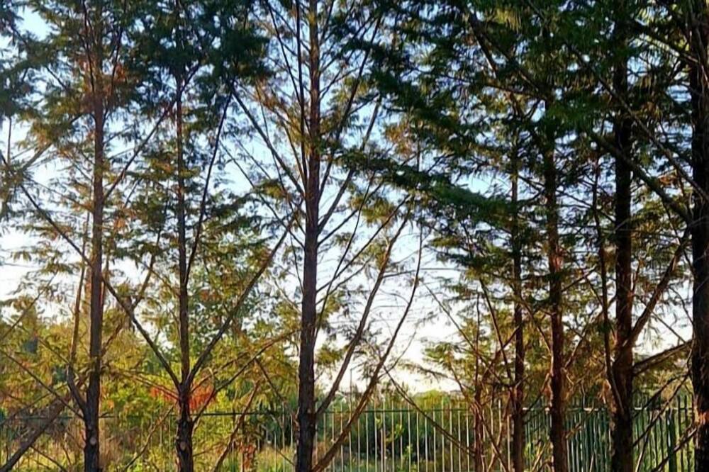 Photo of Outdoor in Laureana Cilento
