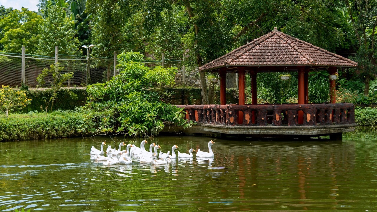 Photo of Outdoor in Luong Son