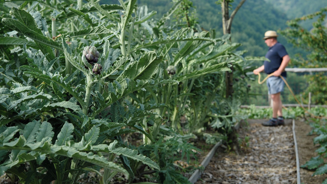 Photo of Outdoor in Vico Equense