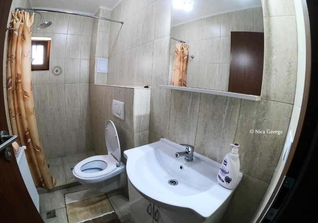 Photo of Bathroom in Cartisoara