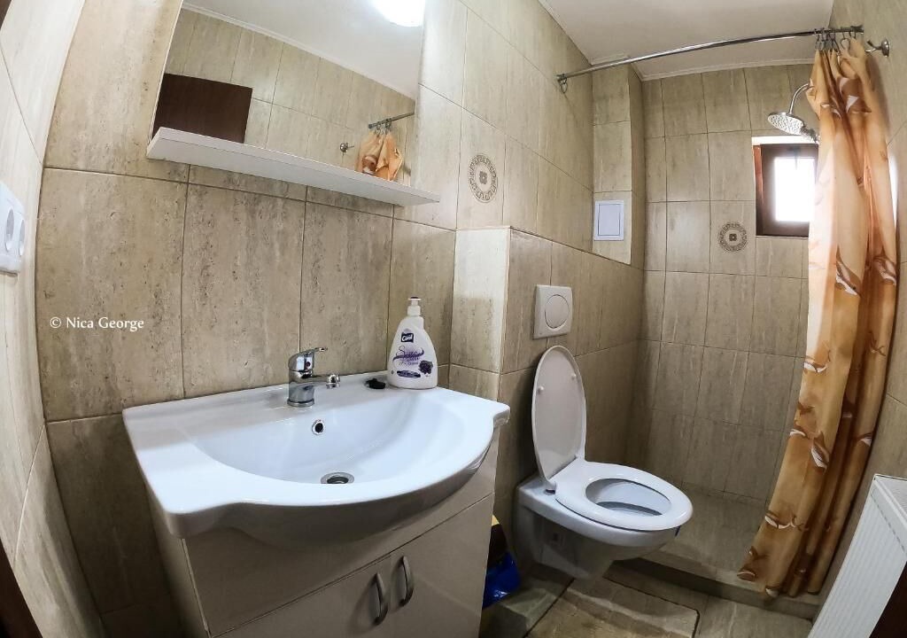 Photo of Bathroom in Cartisoara