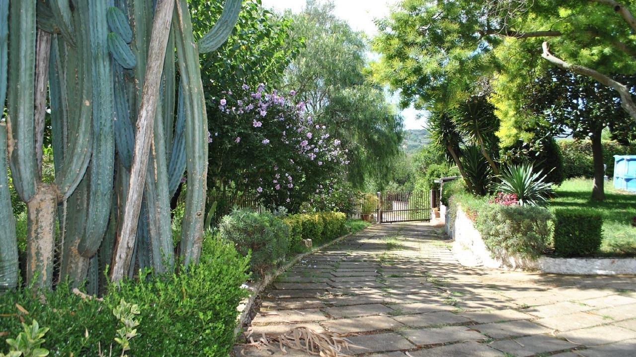 Photo of Outdoor in Itri
