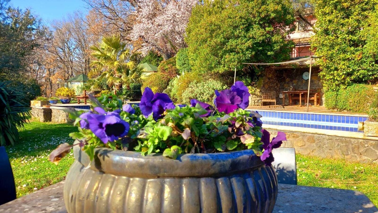 Photo of Outdoor in Bagnaia
