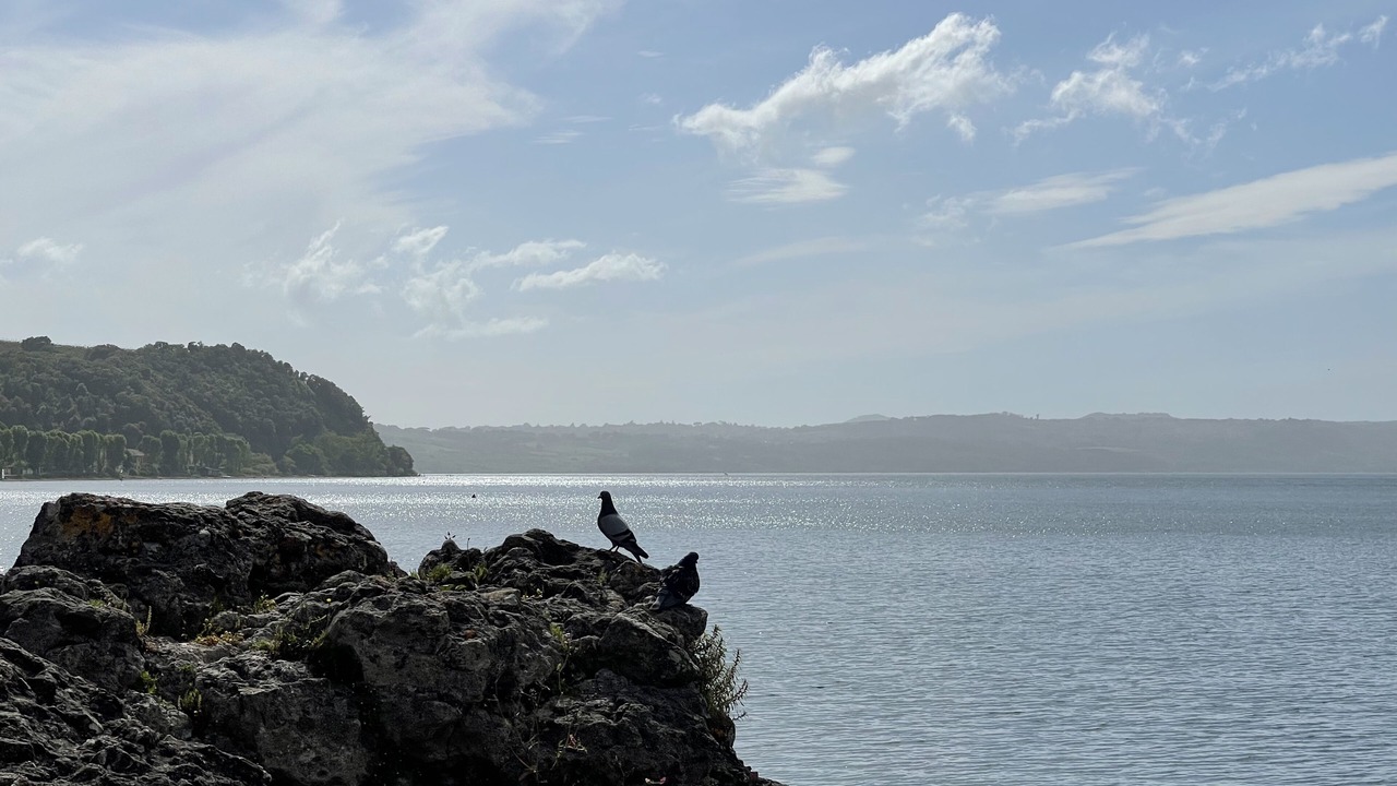 Photo of Others in Lake Bracciano