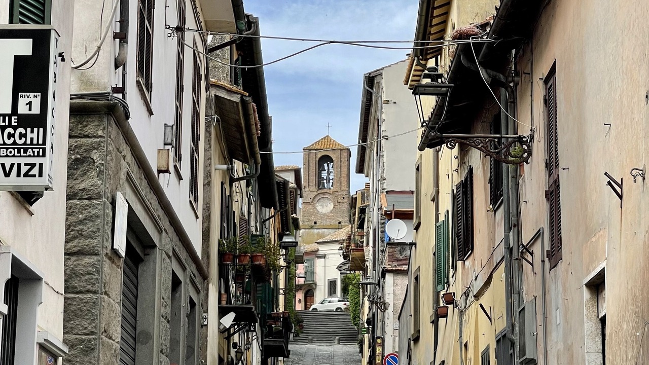 Photo of Others in Lake Bracciano