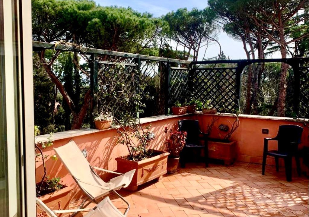 Photo of Outdoor in Cassia