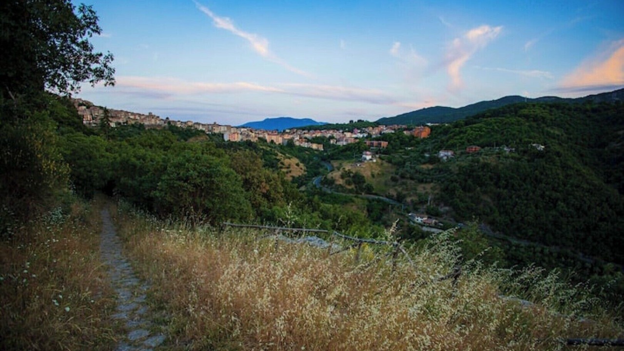 Photo of Others in Segni