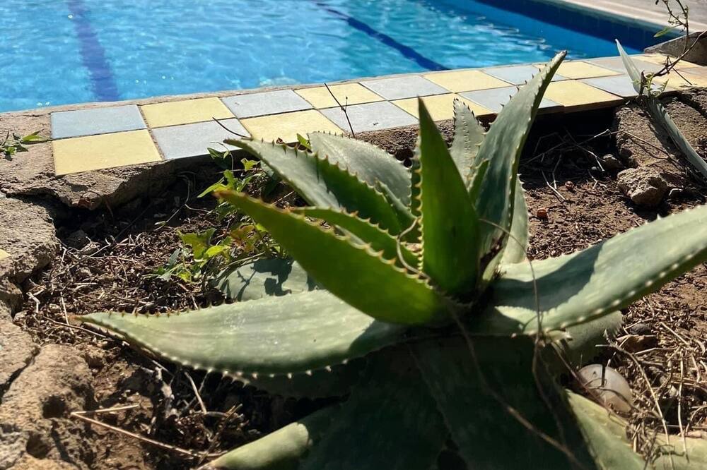 Photo of Outdoor in Magazzeno