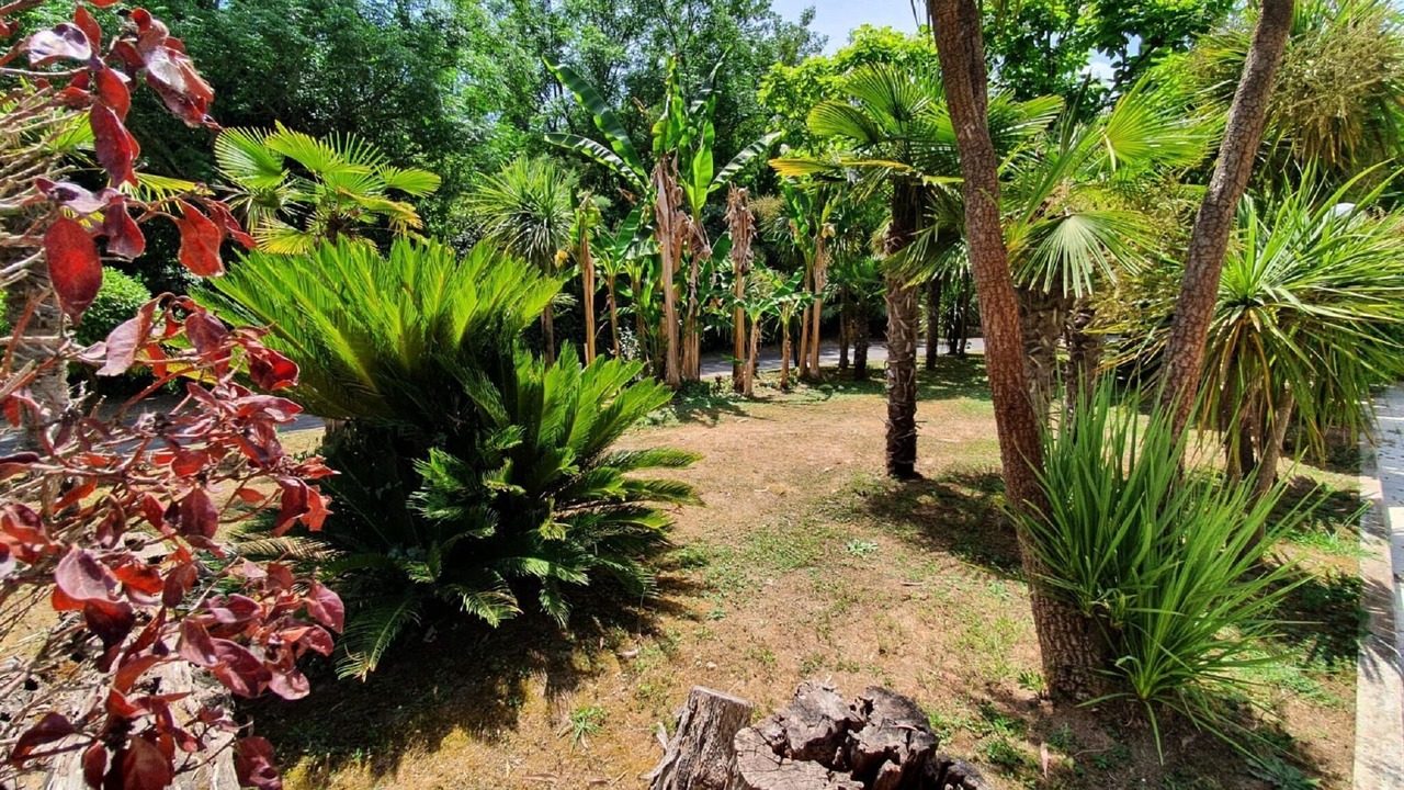Photo of Outdoor in Zona LIV La Giustiniana