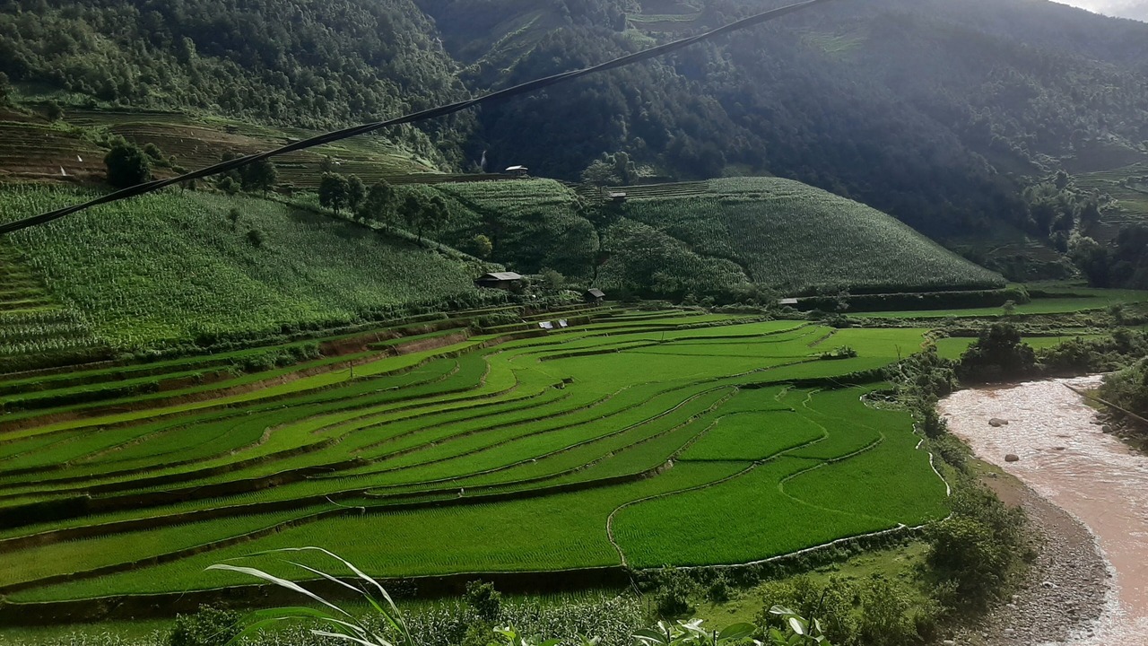 Photo of Outdoor in Mu Cang Chai