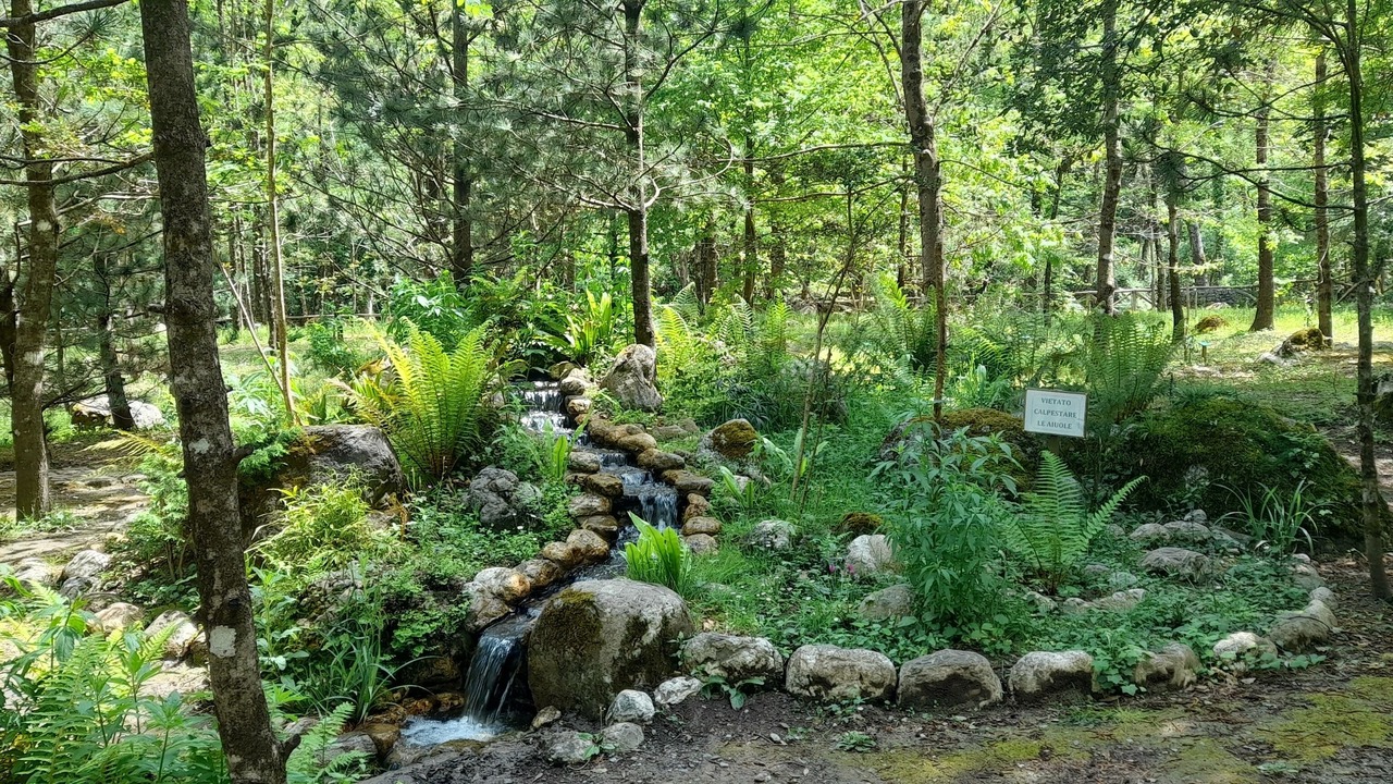 Photo of Outdoor in Orsomarso