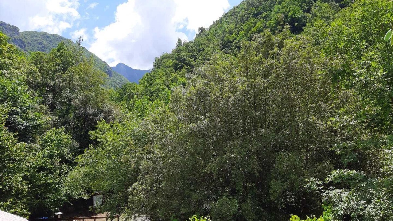 Photo of Patio Balcony in Orsomarso