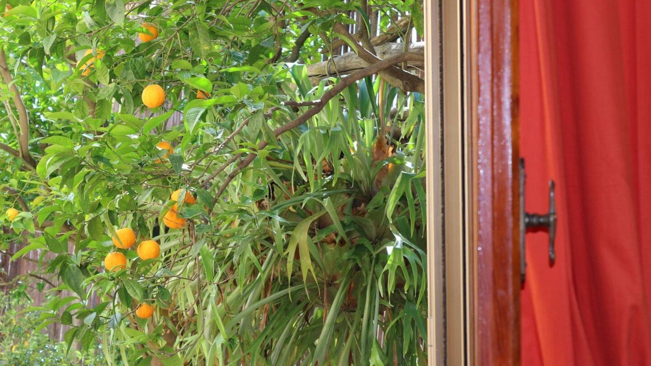Photo of Others in Sant'Agnello