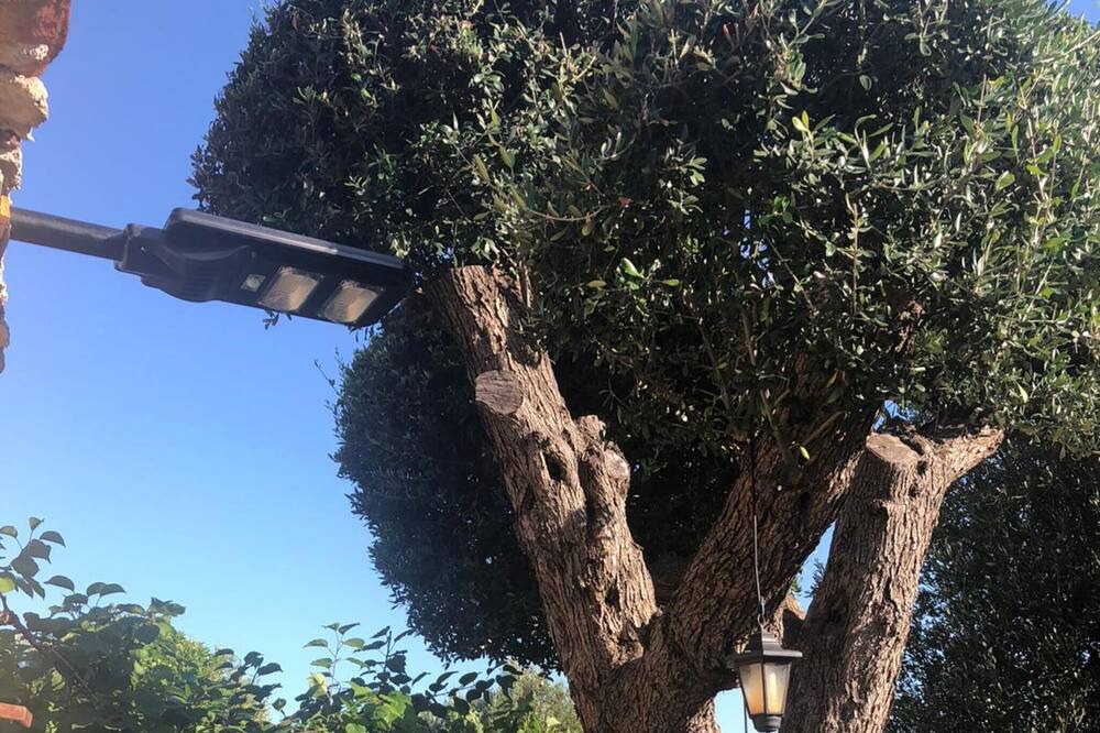 Photo of Outdoor in Caprioli