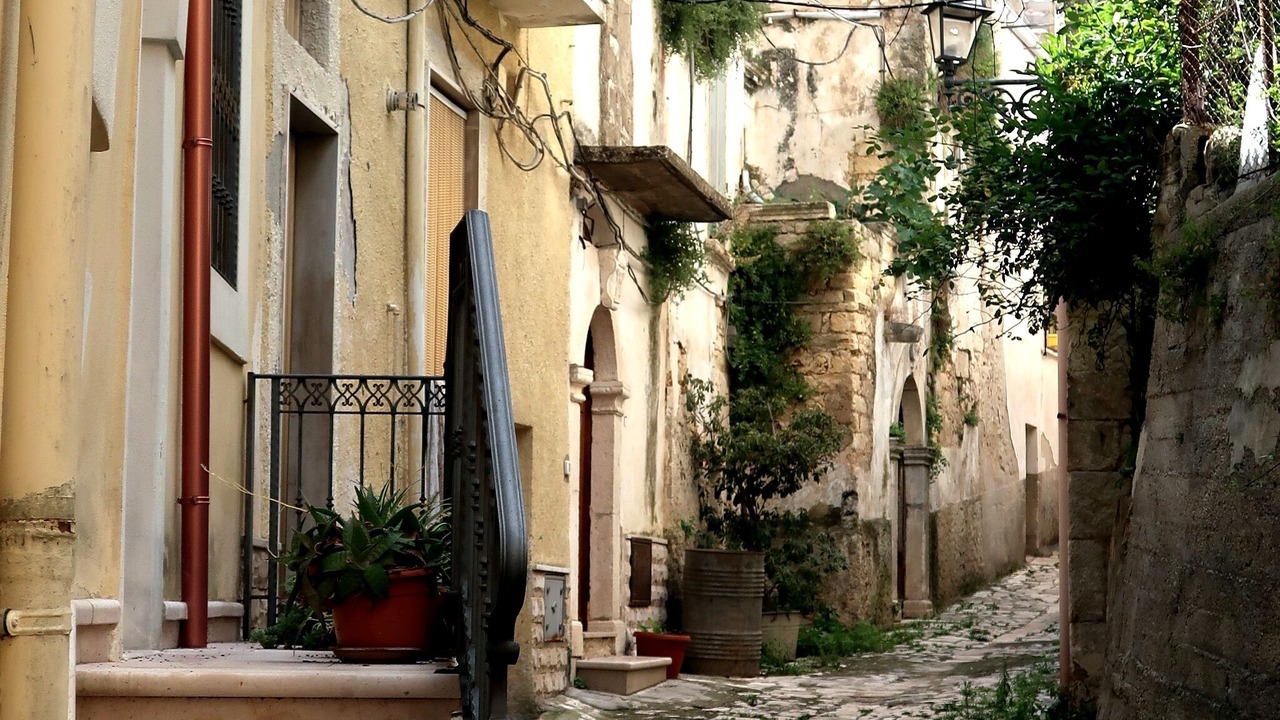 Photo of Outdoor in Carpino