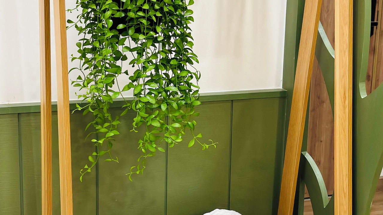 Photo of Bathroom in Van Giang