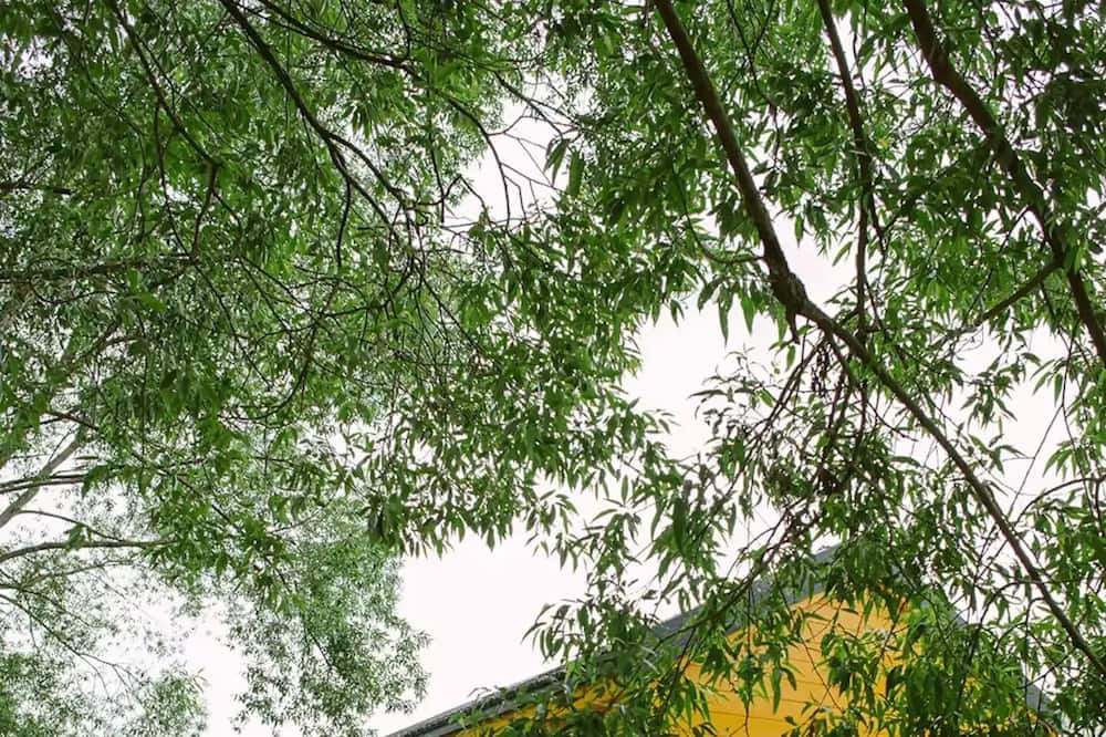 Photo of Outdoor in Rasnov