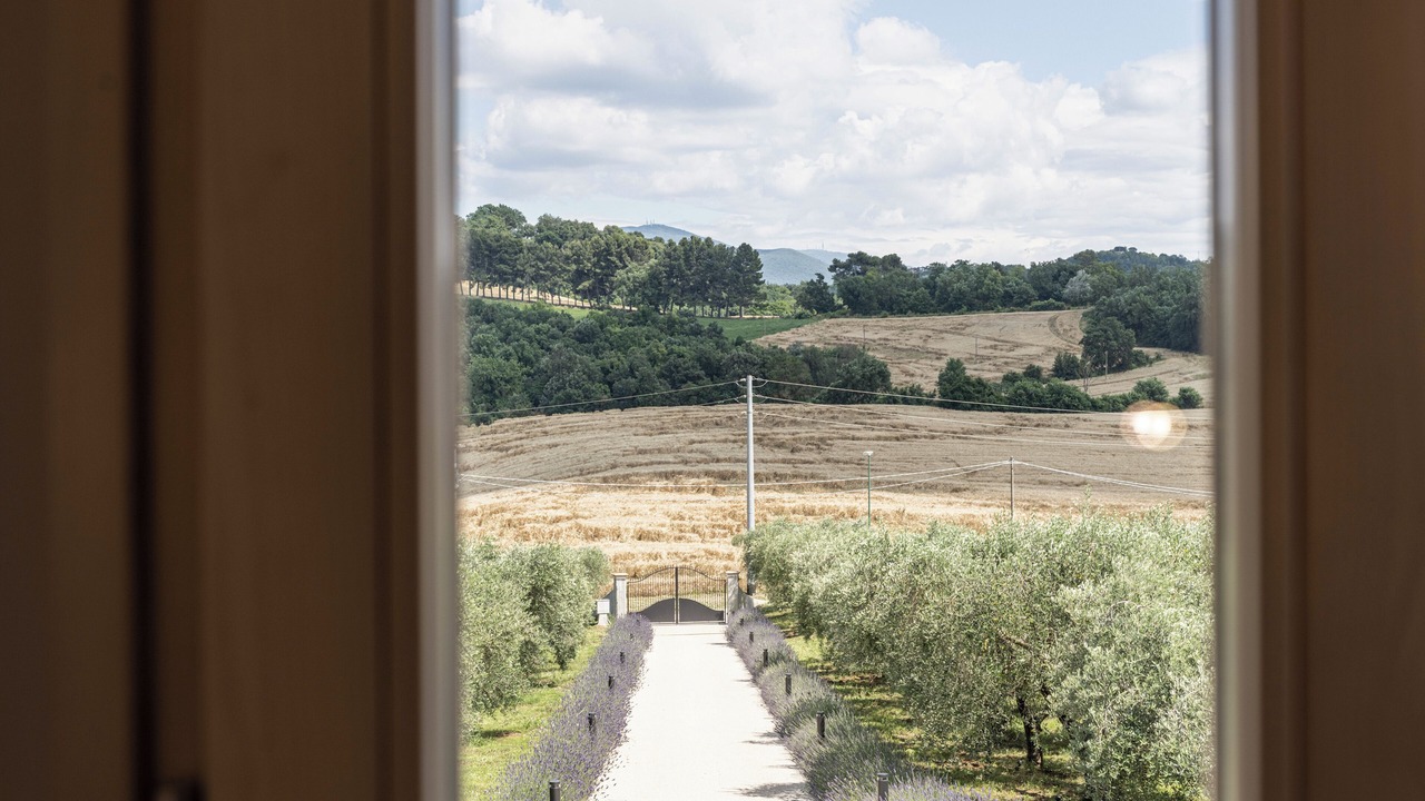Photo of Outdoor in Montoro